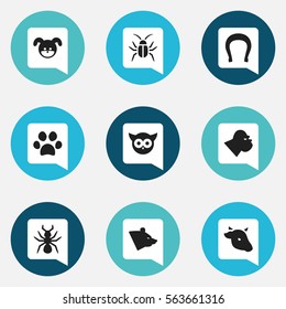 Set Of 9 Editable Animal Icons. Includes Symbols Such As Grizzly, Bird, Cockroach And More. Can Be Used For Web, Mobile, UI And Infographic Design.