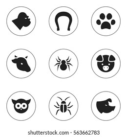 Set Of 9 Editable Animal Icons. Includes Symbols Such As Arachind, Hog, Talisman And More. Can Be Used For Web, Mobile, UI And Infographic Design.