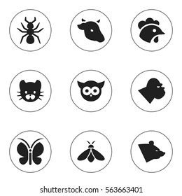 Set Of 9 Editable Animal Icons. Includes Symbols Such As Grizzly, Moth, Bird And More. Can Be Used For Web, Mobile, UI And Infographic Design.
