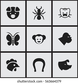 Set Of 9 Editable Animal Icons. Includes Symbols Such As Chimpanzee, Rooster, Baboon And More. Can Be Used For Web, Mobile, UI And Infographic Design.