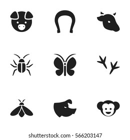 Set Of 9 Editable Animal Icons. Includes Symbols Such As Honey, Bull, Talisman And More. Can Be Used For Web, Mobile, UI And Infographic Design.