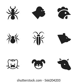 Set Of 9 Editable Animal Icons. Includes Symbols Such As Bull, Arachind, Beast And More. Can Be Used For Web, Mobile, UI And Infographic Design.