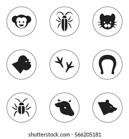 Set Of 9 Editable Animal Icons. Includes Symbols Such As Bull, Cockroach, Footprint And More. Can Be Used For Web, Mobile, UI And Infographic Design.