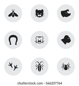 Set Of 9 Editable Animal Icons. Includes Symbols Such As Arachind, Footprint, Beast And More. Can Be Used For Web, Mobile, UI And Infographic Design.