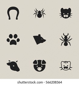 Set Of 9 Editable Animal Icons. Includes Symbols Such As Bedbug, Grizzly, Feline And More. Can Be Used For Web, Mobile, UI And Infographic Design.