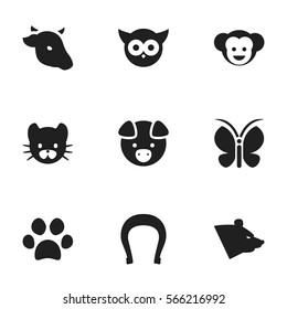 Set Of 9 Editable Animal Icons. Includes Symbols Such As Grizzly, Bird, Talisman And More. Can Be Used For Web, Mobile, UI And Infographic Design.