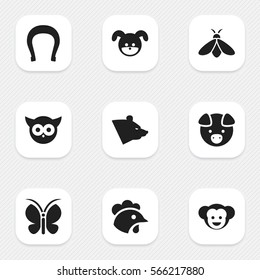 Set Of 9 Editable Animal Icons. Includes Symbols Such As Bird, Talisman, Puppy And More. Can Be Used For Web, Mobile, UI And Infographic Design.