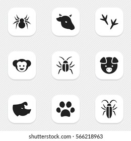 Set Of 9 Editable Animal Icons. Includes Symbols Such As Footprint, Bug, Forepaw And More. Can Be Used For Web, Mobile, UI And Infographic Design.