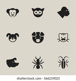 Set Of 9 Editable Animal Icons. Includes Symbols Such As Sow, Bird, Beast And More. Can Be Used For Web, Mobile, UI And Infographic Design.