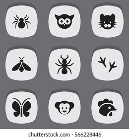 Set Of 9 Editable Animal Icons. Includes Symbols Such As Honey, Baboon, Rooster And More. Can Be Used For Web, Mobile, UI And Infographic Design.