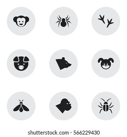 Set Of 9 Editable Animal Icons. Includes Symbols Such As Cockroach, Baboon, Hog And More. Can Be Used For Web, Mobile, UI And Infographic Design.
