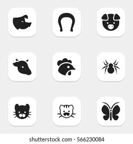 Set Of 9 Editable Animal Icons. Includes Symbols Such As Hog, Bull, Beast And More. Can Be Used For Web, Mobile, UI And Infographic Design.