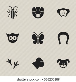 Set Of 9 Editable Animal Icons. Includes Symbols Such As Puppy, Talisman, Baboon And More. Can Be Used For Web, Mobile, UI And Infographic Design.