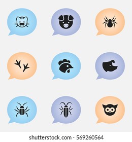 Set Of 9 Editable Animal Icons. Includes Symbols Such As Cockroach, Bug, Bird And More. Can Be Used For Web, Mobile, UI And Infographic Design.