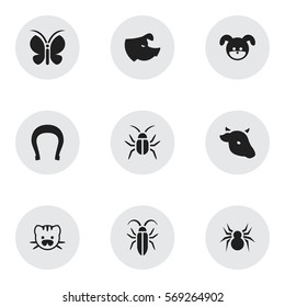 Set Of 9 Editable Animal Icons. Includes Symbols Such As Sow, Moth, Beast And More. Can Be Used For Web, Mobile, UI And Infographic Design.