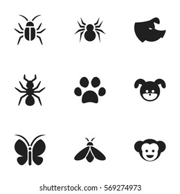 Set Of 9 Editable Animal Icons. Includes Symbols Such As Sow, Puppy, Bedbug And More. Can Be Used For Web, Mobile, UI And Infographic Design.