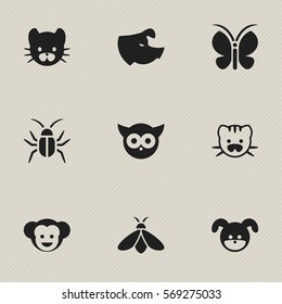 Set Of 9 Editable Animal Icons. Includes Symbols Such As Baboon, Sow, Bird And More. Can Be Used For Web, Mobile, UI And Infographic Design.