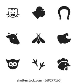 Set Of 9 Editable Animal Icons. Includes Symbols Such As Chimpanzee, Bull, Bird And More. Can Be Used For Web, Mobile, UI And Infographic Design.