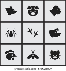 Set Of 9 Editable Animal Icons. Includes Symbols Such As Rooster, Hog, Grizzly And More. Can Be Used For Web, Mobile, UI And Infographic Design.