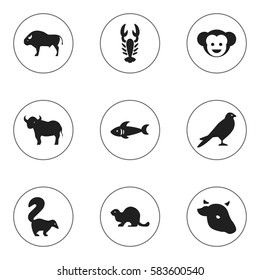 Set Of 9 Editable Animal Icons. Includes Symbols Such As Eagle, Skunk, Wildlife Castor And More. Can Be Used For Web, Mobile, UI And Infographic Design.