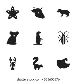 Set Of 9 Editable Animal Icons. Includes Symbols Such As Sow, Polar Animal, Australian Bear And More. Can Be Used For Web, Mobile, UI And Infographic Design.