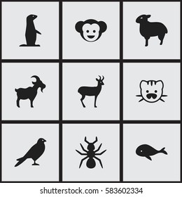 Set Of 9 Editable Animal Icons. Includes Symbols Such As Groundhog, Beast, Livestock And More. Can Be Used For Web, Mobile, UI And Infographic Design.