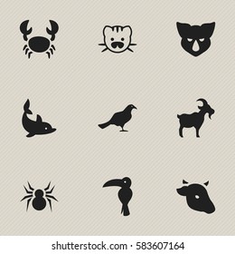 Set Of 9 Editable Animal Icons. Includes Symbols Such As Beast, Rhinoceros, Arachind And More. Can Be Used For Web, Mobile, UI And Infographic Design.