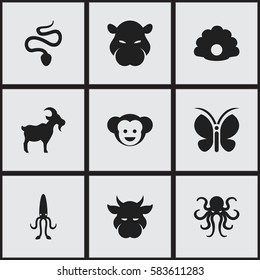 Set Of 9 Editable Animal Icons. Includes Symbols Such As Moth, Baboon, Octopus And More. Can Be Used For Web, Mobile, UI And Infographic Design.