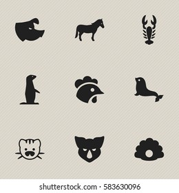 Set Of 9 Editable Animal Icons. Includes Symbols Such As Conch, Beast, Rooster And More. Can Be Used For Web, Mobile, UI And Infographic Design.