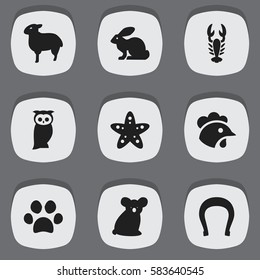 Set Of 9 Editable Animal Icons. Includes Symbols Such As Talisman, Forepaw, Crawfish And More. Can Be Used For Web, Mobile, UI And Infographic Design.