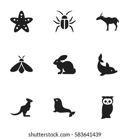 Set Of 9 Editable Animal Icons. Includes Symbols Such As Honey, Sea Star, Owl And More. Can Be Used For Web, Mobile, UI And Infographic Design.