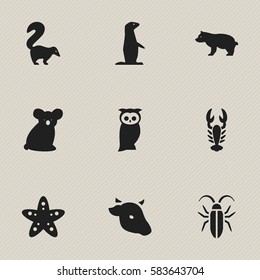 Set Of 9 Editable Animal Icons. Includes Symbols Such As Groundhog, Crawfish, Australian Bear And More. Can Be Used For Web, Mobile, UI And Infographic Design.