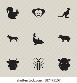 Set Of 9 Editable Animal Icons. Includes Symbols Such As Wild Rodent, Bug, Dog And More. Can Be Used For Web, Mobile, UI And Infographic Design.