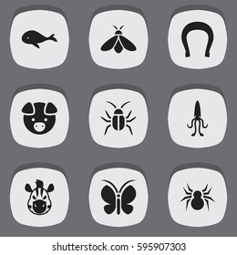 Set Of 9 Editable Animal Icons. Includes Symbols Such As Octopus, Arachind, Hog And More. Can Be Used For Web, Mobile, UI And Infographic Design.