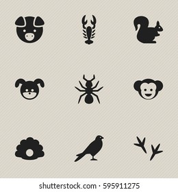 Set Of 9 Editable Animal Icons. Includes Symbols Such As Footprint, Puppy, Conch And More. Can Be Used For Web, Mobile, UI And Infographic Design.