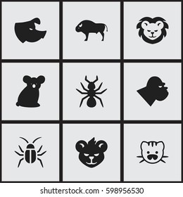 Set Of 9 Editable Animal Icons. Includes Symbols Such As Chimpanzee, Cockroach, Bedbug And More. Can Be Used For Web, Mobile, UI And Infographic Design.