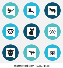 Set Of 9 Editable Animal Icons. Includes Symbols Such As Australian Bear, Cockroach, Hippopotamus And More. Can Be Used For Web, Mobile, UI And Infographic Design.