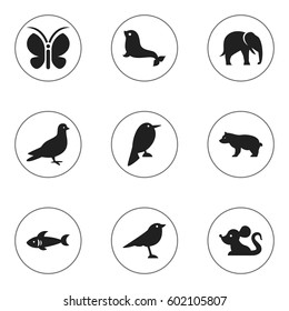 Set Of 9 Editable Animal Icons. Includes Symbols Such As Sea Calf, Polar Animal, Shark And More. Can Be Used For Web, Mobile, UI And Infographic Design.