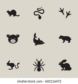 Set Of 9 Editable Animal Icons. Includes Symbols Such As Footprint, Bunny, Playful Fish And More. Can Be Used For Web, Mobile, UI And Infographic Design.