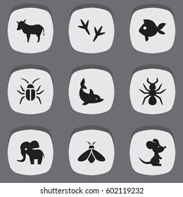 Set Of 9 Editable Animal Icons. Includes Symbols Such As Bedbug, Cow, Honey And More. Can Be Used For Web, Mobile, UI And Infographic Design.