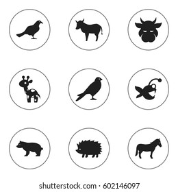 Set Of 9 Editable Animal Icons. Includes Symbols Such As Cow, Stallion, Eagle And More. Can Be Used For Web, Mobile, UI And Infographic Design.