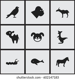 Set Of 9 Editable Animal Icons. Includes Symbols Such As Chimpanzee, Dromedary, Eagle And More. Can Be Used For Web, Mobile, UI And Infographic Design.
