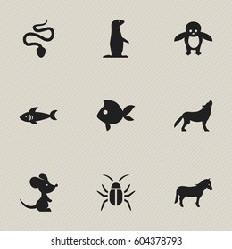 Set Of 9 Editable Animal Icons. Includes Symbols Such As Serpent, Groundhog, Shark And More. Can Be Used For Web, Mobile, UI And Infographic Design.