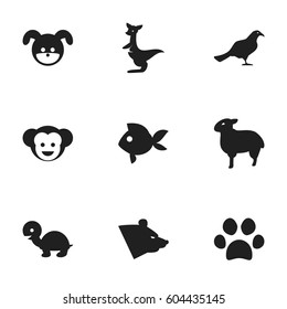Set Of 9 Editable Animal Icons. Includes Symbols Such As Tortoise, Baboon, Turbot And More. Can Be Used For Web, Mobile, UI And Infographic Design.