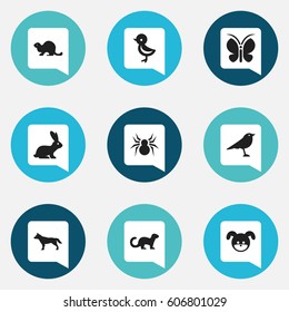 Set Of 9 Editable Animal Icons. Includes Symbols Such As Moth, Puppy, Dog And More. Can Be Used For Web, Mobile, UI And Infographic Design.