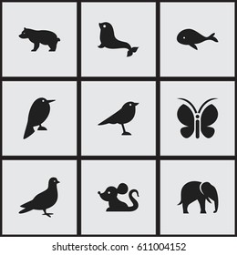 Set Of 9 Editable Animal Icons. Includes Symbols Such As Catbird, Pigeon, Polar Animal And More. Can Be Used For Web, Mobile, UI And Infographic Design.