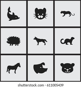 Set Of 9 Editable Animal Icons. Includes Symbols Such As Dog, Playful Fish, Feline And More. Can Be Used For Web, Mobile, UI And Infographic Design.