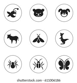 Set Of 9 Editable Animal Icons. Includes Symbols Such As Puppy, Cow, Arachind And More. Can Be Used For Web, Mobile, UI And Infographic Design.