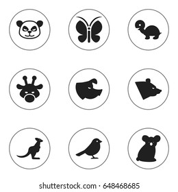 Set Of 9 Editable Animal Icons. Includes Symbols Such As Sow, Crow, Grizzly And More. Can Be Used For Web, Mobile, UI And Infographic Design.