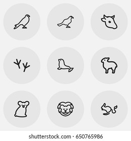 Set Of 9 Editable Animal Icons. Includes Symbols Such As Rodent Desert, Ocean Mew, Dogfish And More. Can Be Used For Web, Mobile, UI And Infographic Design.